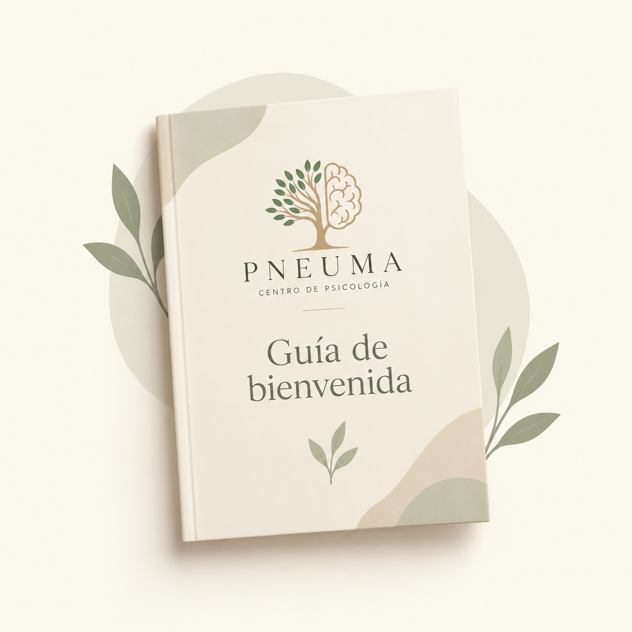 Guía de bienvenida PNEUMA